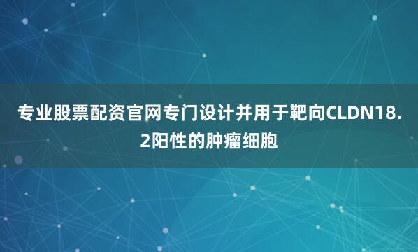 专业股票配资官网专门设计并用于靶向CLDN18.2阳性的肿瘤细胞